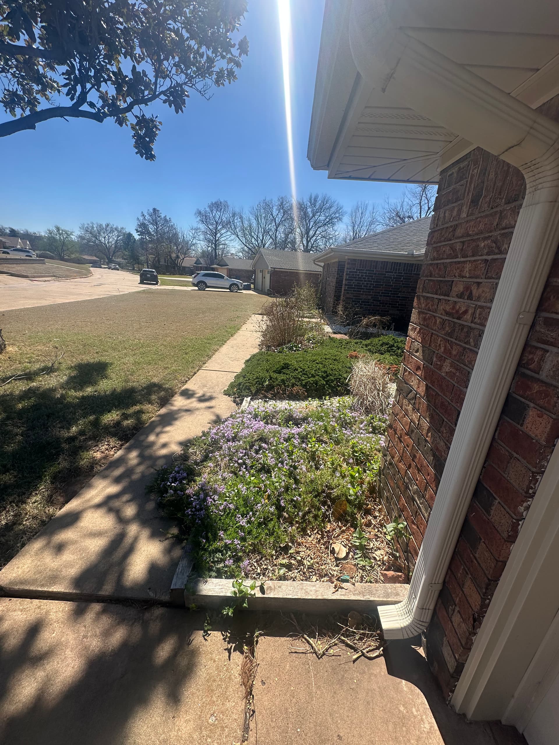 Gallery photos for Overgrown Front Yard Gets a Clean Low-Maintenance Rock Landscape: Image #4