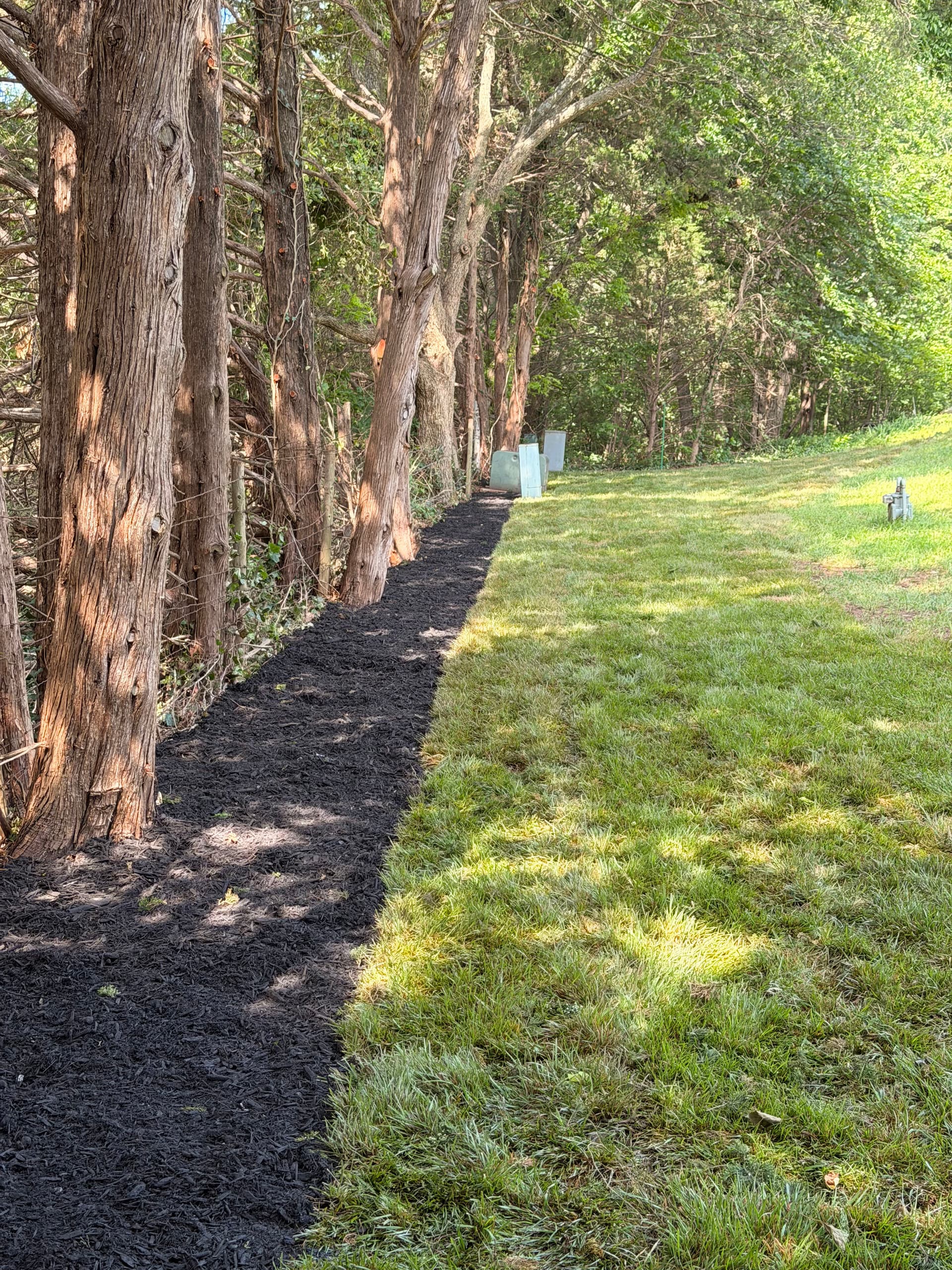 Gallery photos for Native Perennials, Stone Work, and Fescue Sod Give This Yard a Sharp Reset: Image #8