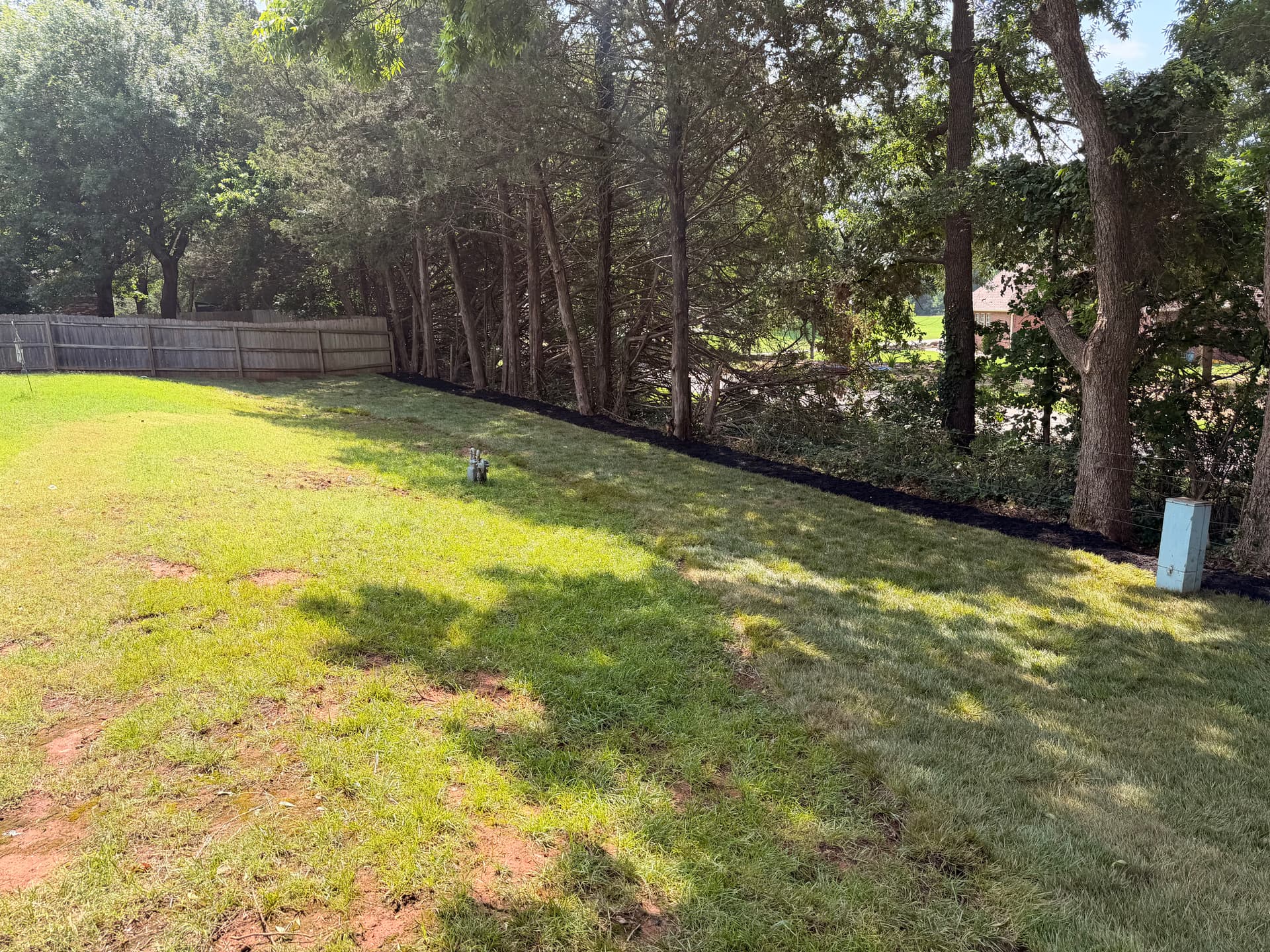 Gallery photos for Native Perennials, Stone Work, and Fescue Sod Give This Yard a Sharp Reset: Image #9